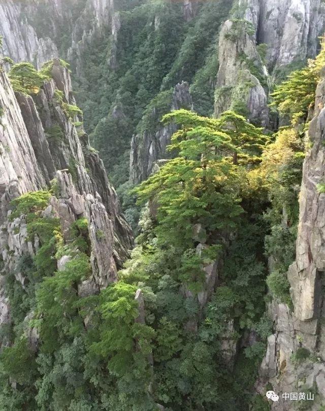 爱的礼物